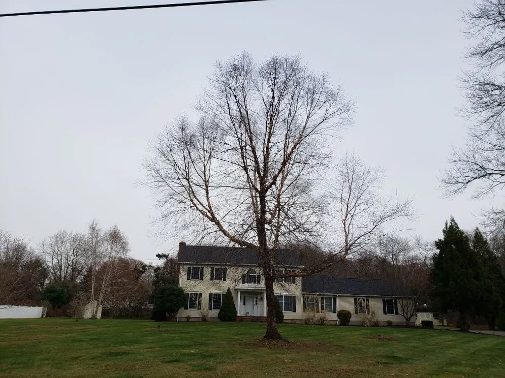 Custom landscape design for outdoor upgrades in East Haddam, CT by ARA Property Care