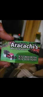 Aracachi""s landscaping Logo
