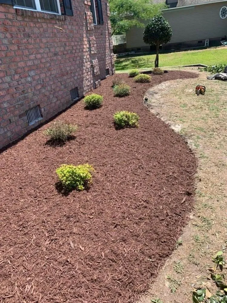 Expert landscaping services for homes in New Bern, NC by Aragon And White Landscaping