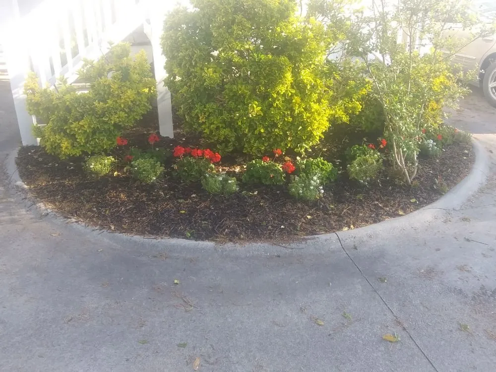 Trusted landscaping services in New Bern, NC - Aragon And White Landscaping
