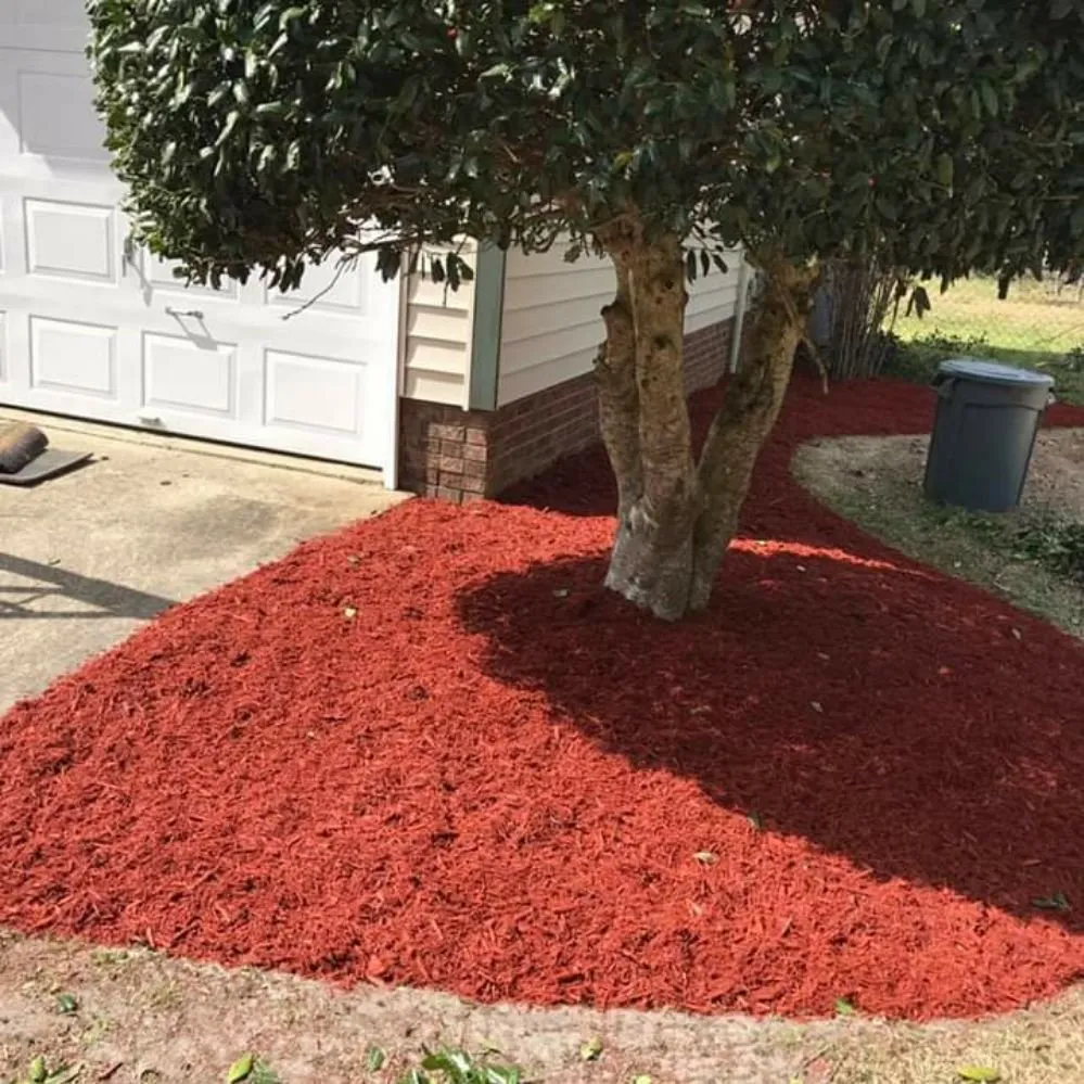 Trusted lawn mowing service for homes in New Bern, NC by Aragon And White Landscaping