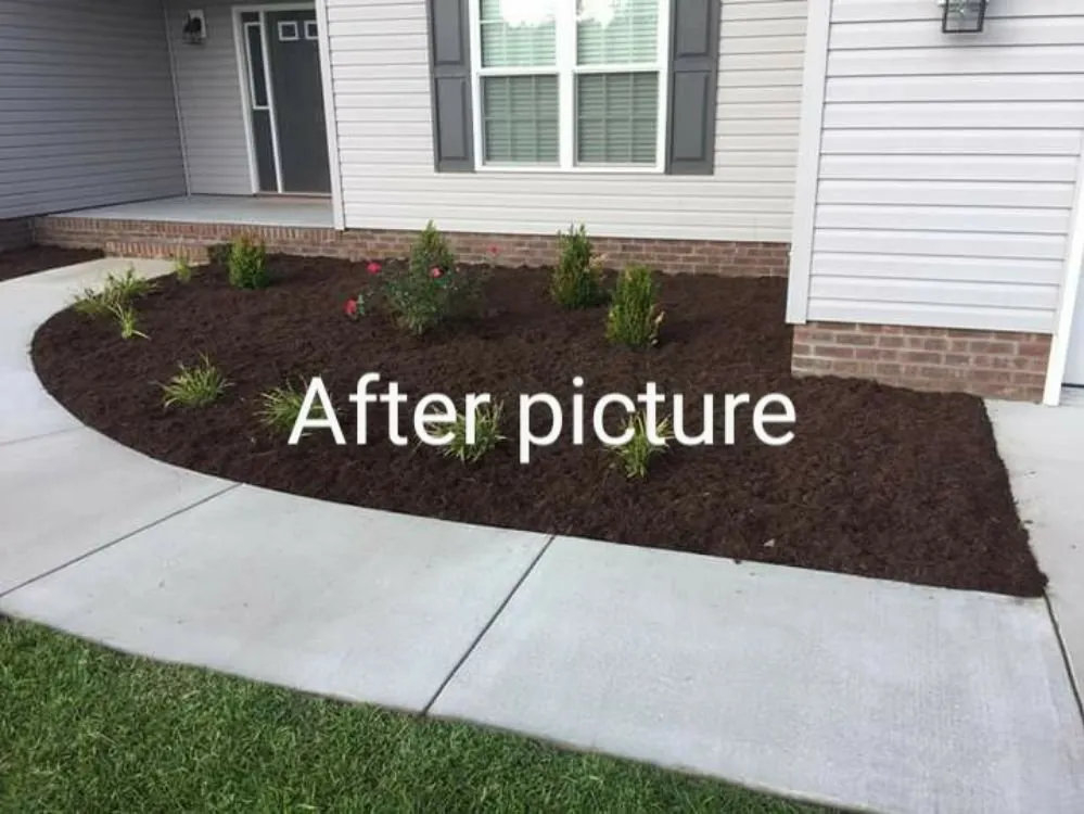 Custom lawn care service for year-round maintenance across New Bern, NC - Aragon And White Landscaping