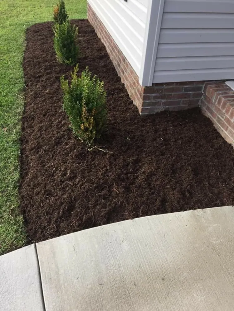 Reliable yard maintenance in New Bern, NC - Aragon And White Landscaping