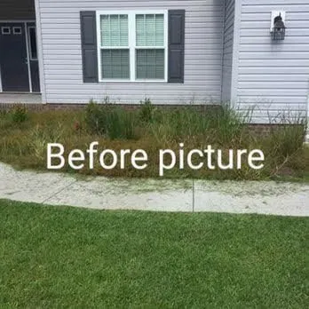 Custom landscape design in New Bern, NC - Aragon And White Landscaping