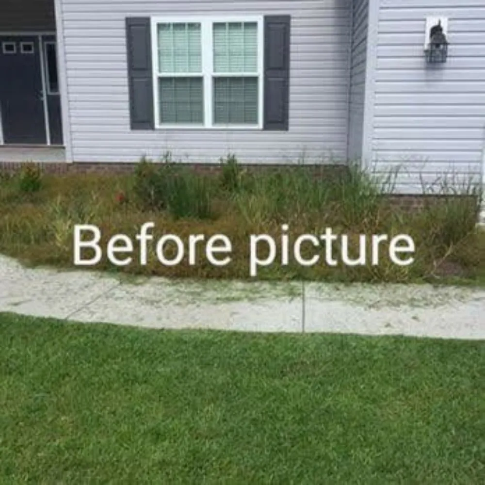 Custom landscape installation with custom design across New Bern, NC - Aragon And White Landscaping