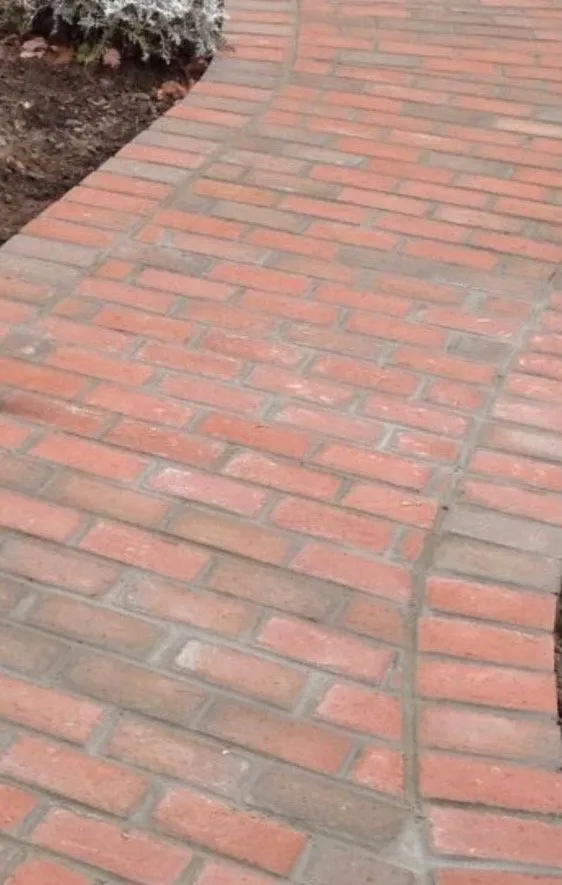 Top-rated lawn mowing service in Apple Valley, CA - Aragon Landscape and Maintenance