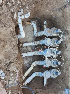 Aragon Landscape and Maintenance