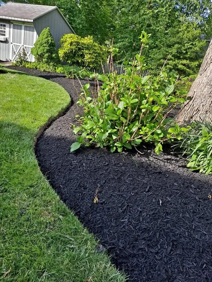 Reliable landscaping services for homes in Bridgeton, NJ by Aragon’s Landscaping