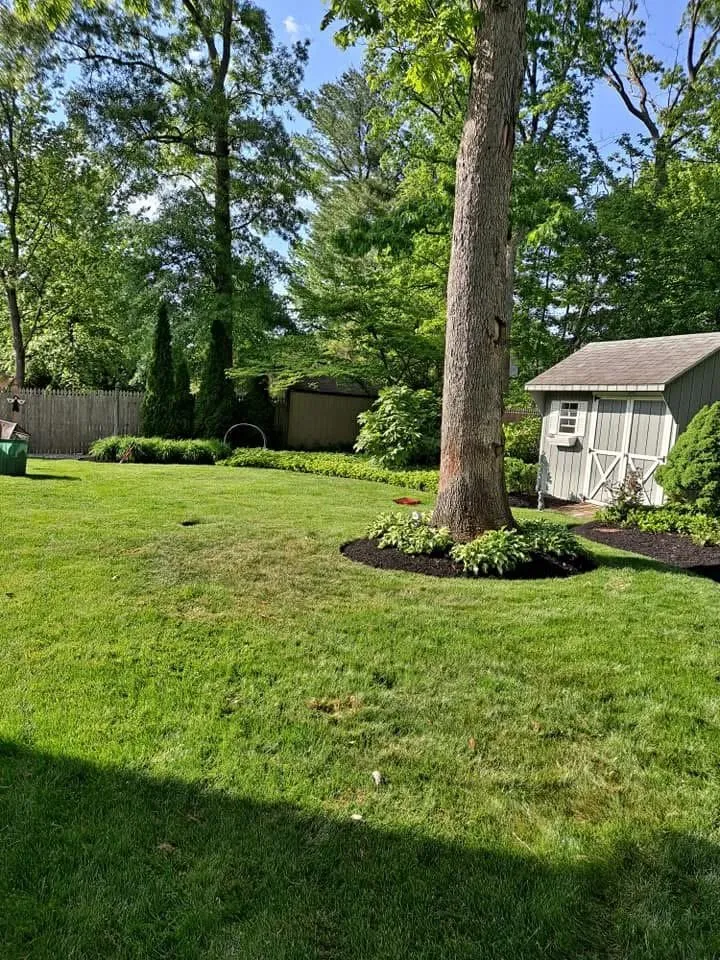 Local yard maintenance for year-round maintenance across Bridgeton, NJ - Aragon’s Landscaping