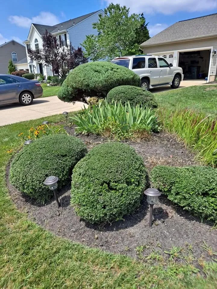 Professional yard cleanup service for homes in Bridgeton, NJ by Aragon’s Landscaping
