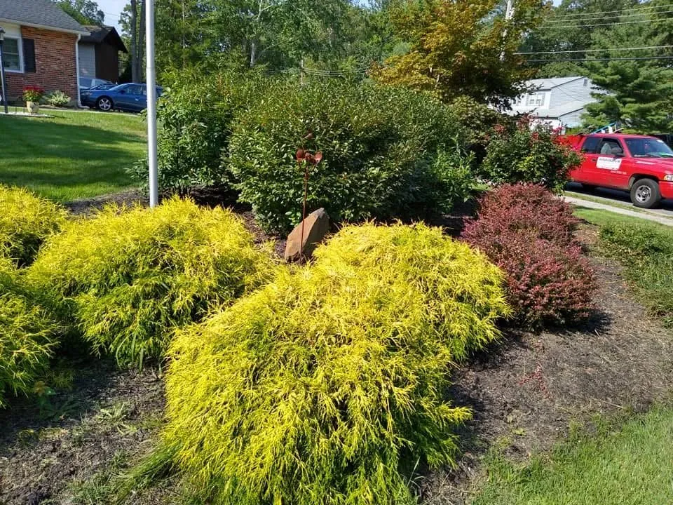 Professional outdoor landscaping in Bridgeton, NJ by Aragon’s Landscaping