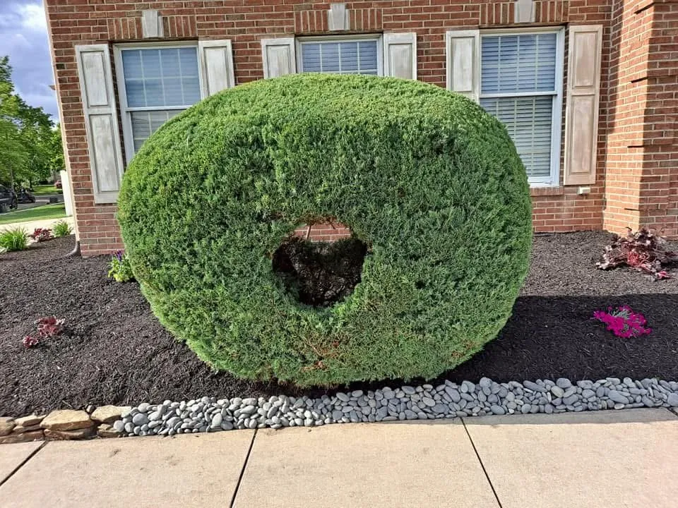 Reliable garden landscaping with custom design across Bridgeton, NJ - Aragon’s Landscaping