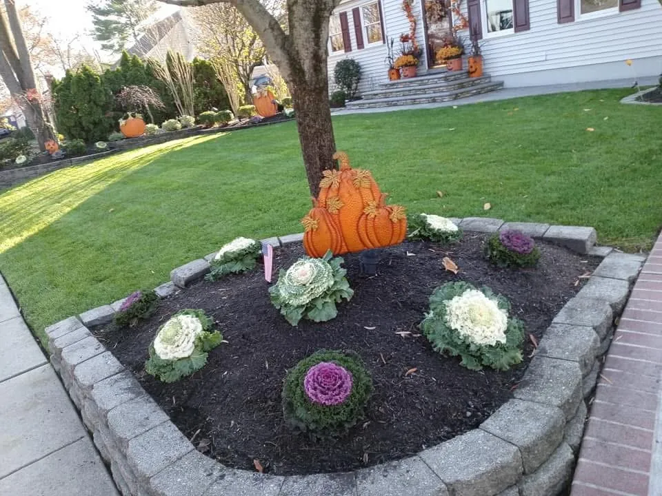 Professional yard maintenance experts serving Bridgeton, NJ - Aragon’s Landscaping