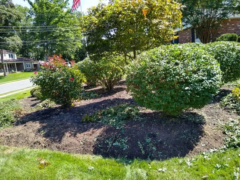 Professional yard maintenance experts serving Bridgeton, NJ - Aragon’s Landscaping