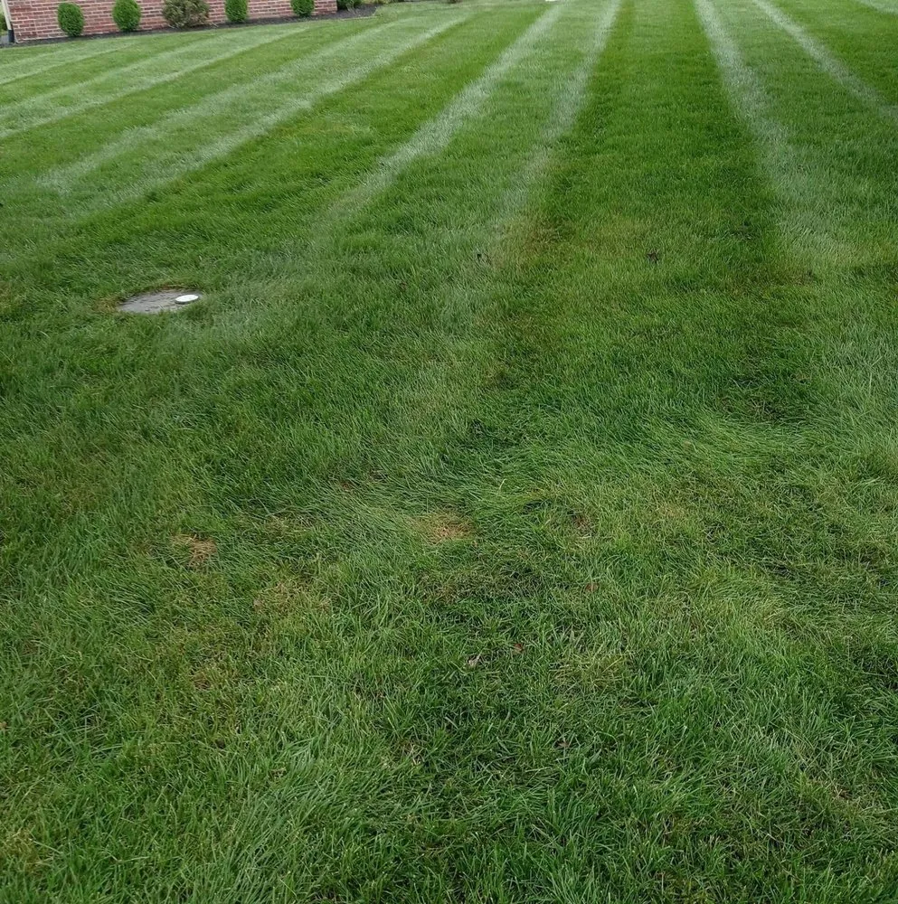 Trusted lawn care service for residential properties in Bridgeton, NJ by Aragon’s Landscaping