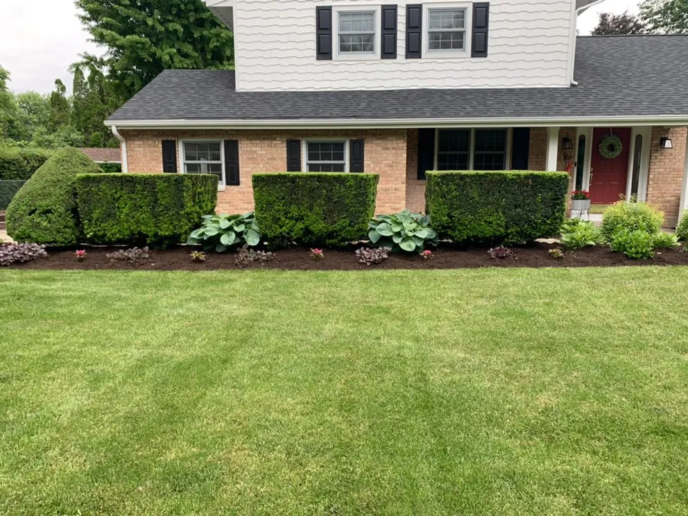 Affordable landscaping services for beautiful yards across Beloit, WI - Aragonz Snow & Mow Services