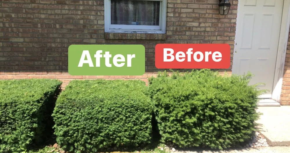 Top-rated yard maintenance in Beloit, WI - Aragonz Snow & Mow Services