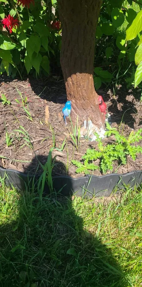 Top-rated yard cleanup service experts serving Beloit, WI - Aragonz Snow & Mow Services