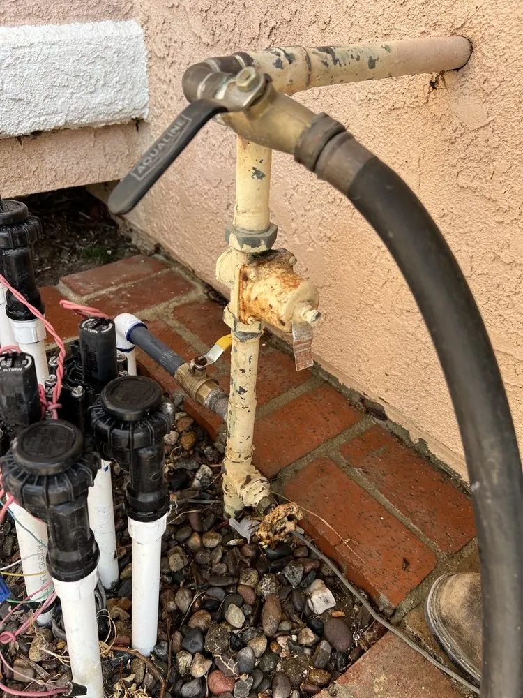 Trusted yard cleanup service in Pomona, CA by Aran Arbor and Landscape Care