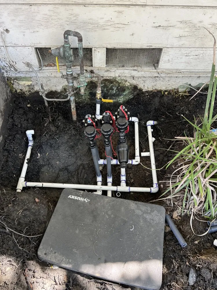 Top-rated yard cleanup service for residential properties in Pomona, CA by Aran Arbor and Landscape Care