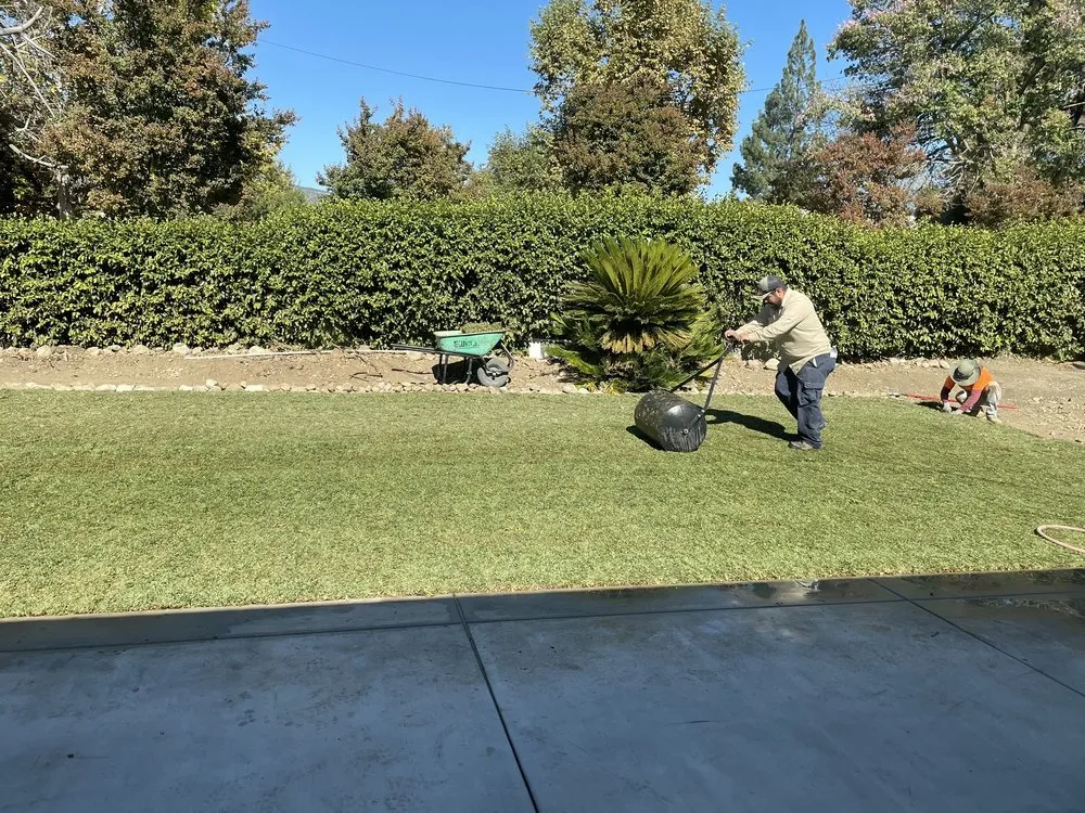 Local residential landscaping near you in Pomona, CA by Aran Arbor and Landscape Care