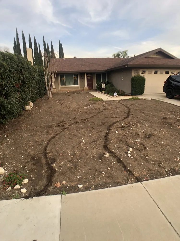 Professional residential landscaping in Pomona, CA by Aran Arbor and Landscape Care