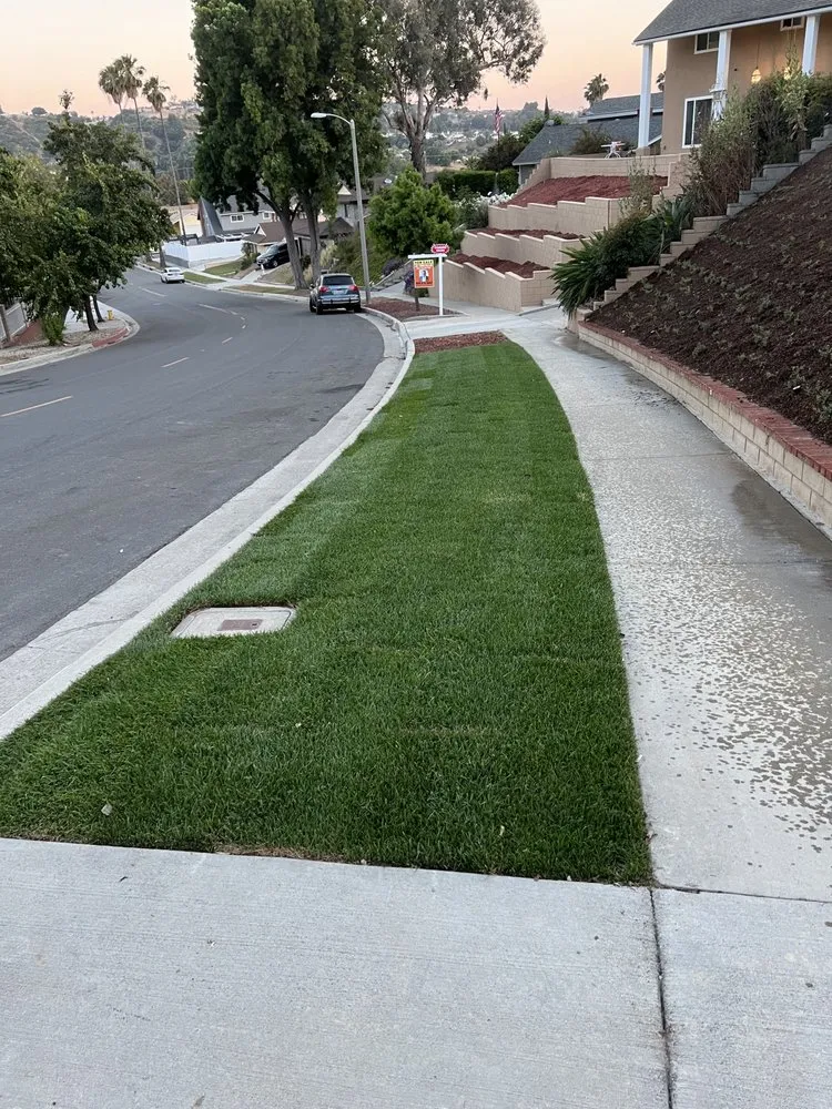 Custom lawn mowing service for beautiful yards across Pomona, CA - Aran Arbor and Landscape Care