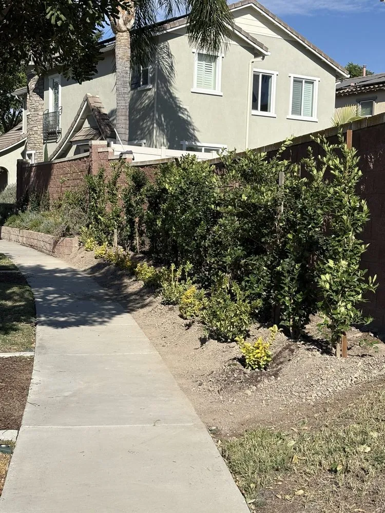 Local residential landscaping for residential properties across Pomona, CA - Aran Arbor and Landscape Care