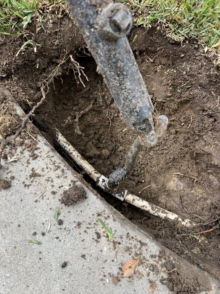 Professional yard cleanup service for beautiful yards in Pomona, CA by Aran Arbor and Landscape Care