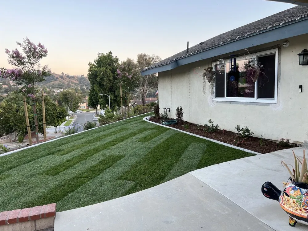 Affordable yard cleanup service experts serving Pomona, CA - Aran Arbor and Landscape Care