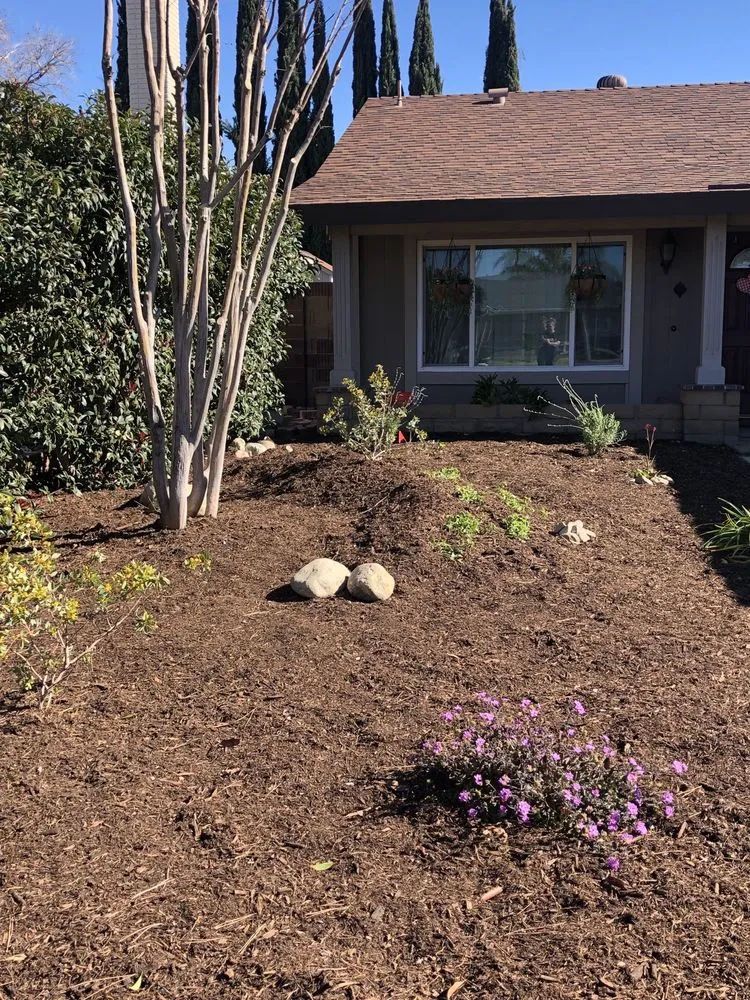 Top-rated outdoor landscaping in Pomona, CA by Aran Arbor and Landscape Care