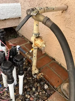 Aran Arbor and Landscape Care