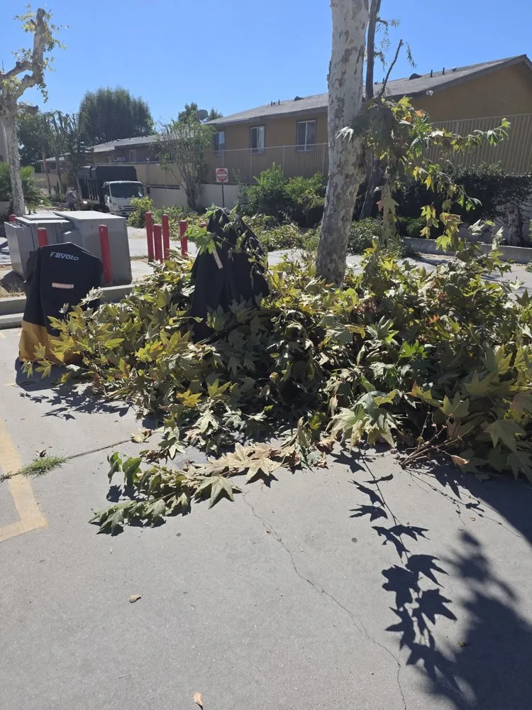 Local lawn mowing service experts serving Simi Valley, CA - Arana's Landscape