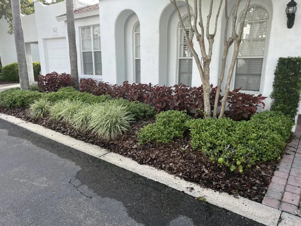 Expert landscape installation for residential properties across Tampa, FL - Ararat Garden