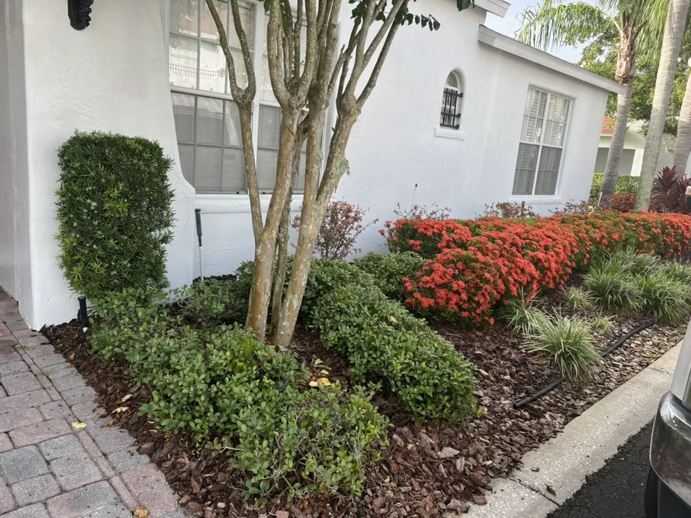 Affordable landscape installation with custom design across Tampa, FL - Ararat Garden