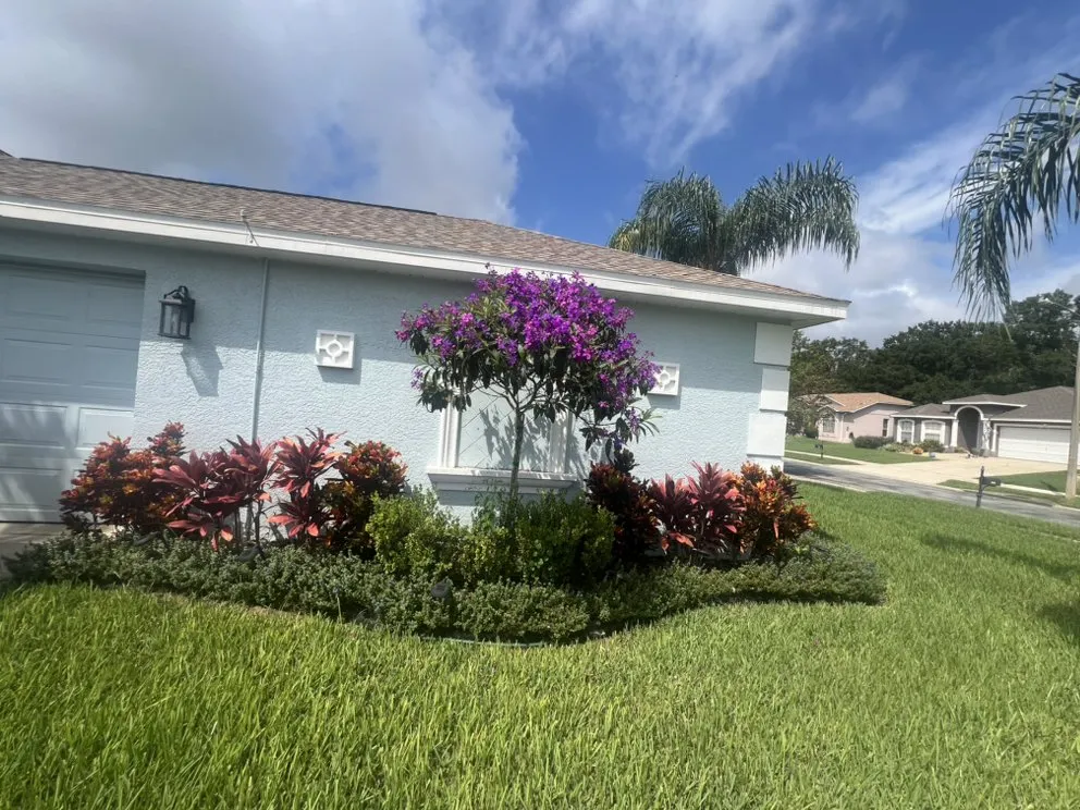 Local lawn care service experts serving Tampa, FL - Ararat Garden