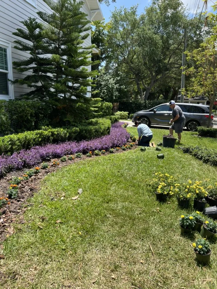 Local outdoor landscaping for homes across Tampa, FL - Ararat Garden