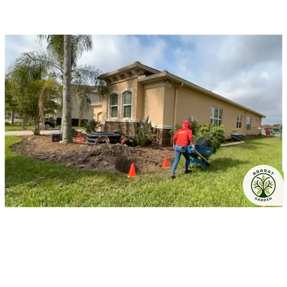 Professional yard cleanup service for outdoor upgrades across Tampa, FL - Ararat Garden