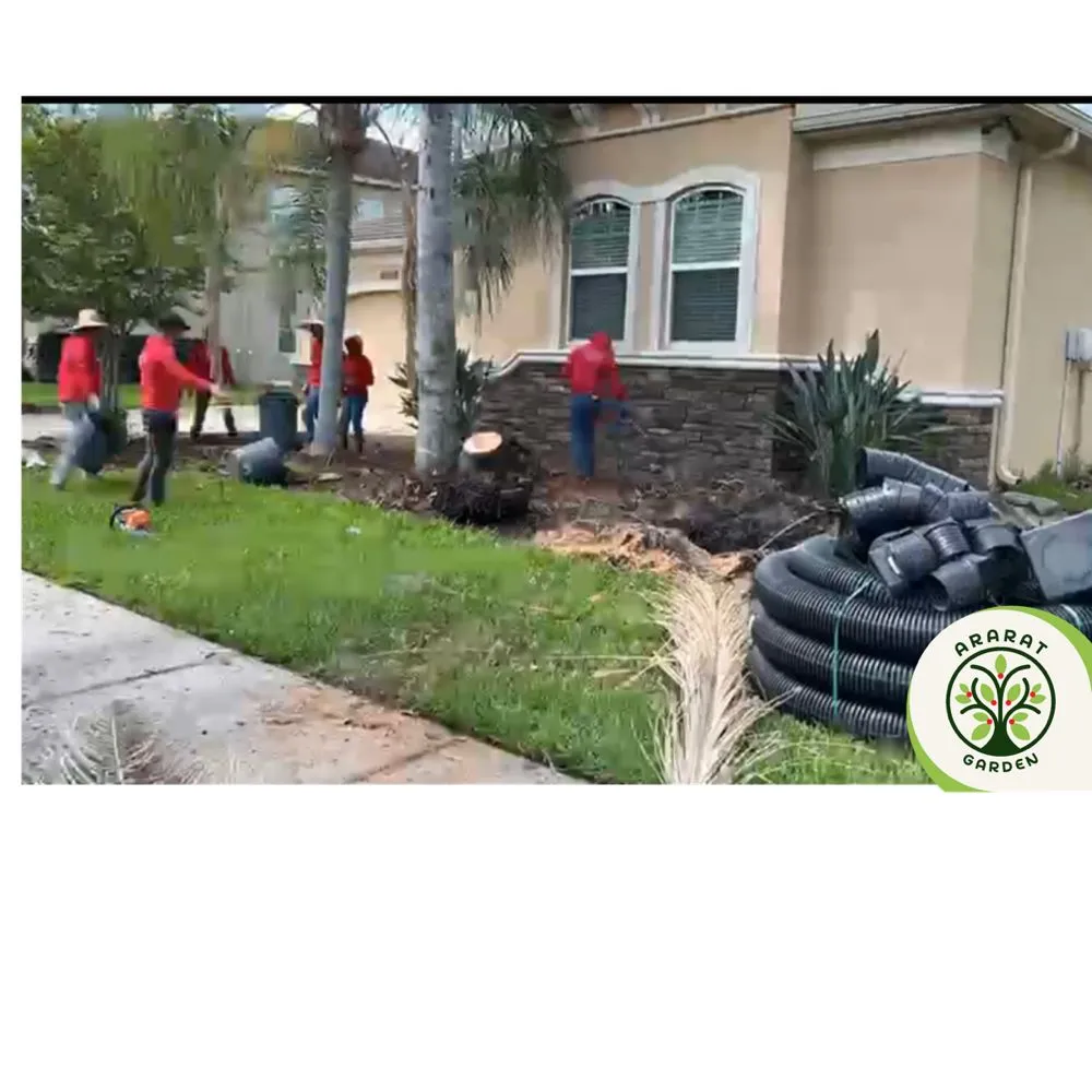 Trusted outdoor landscaping for year-round maintenance across Tampa, FL - Ararat Garden