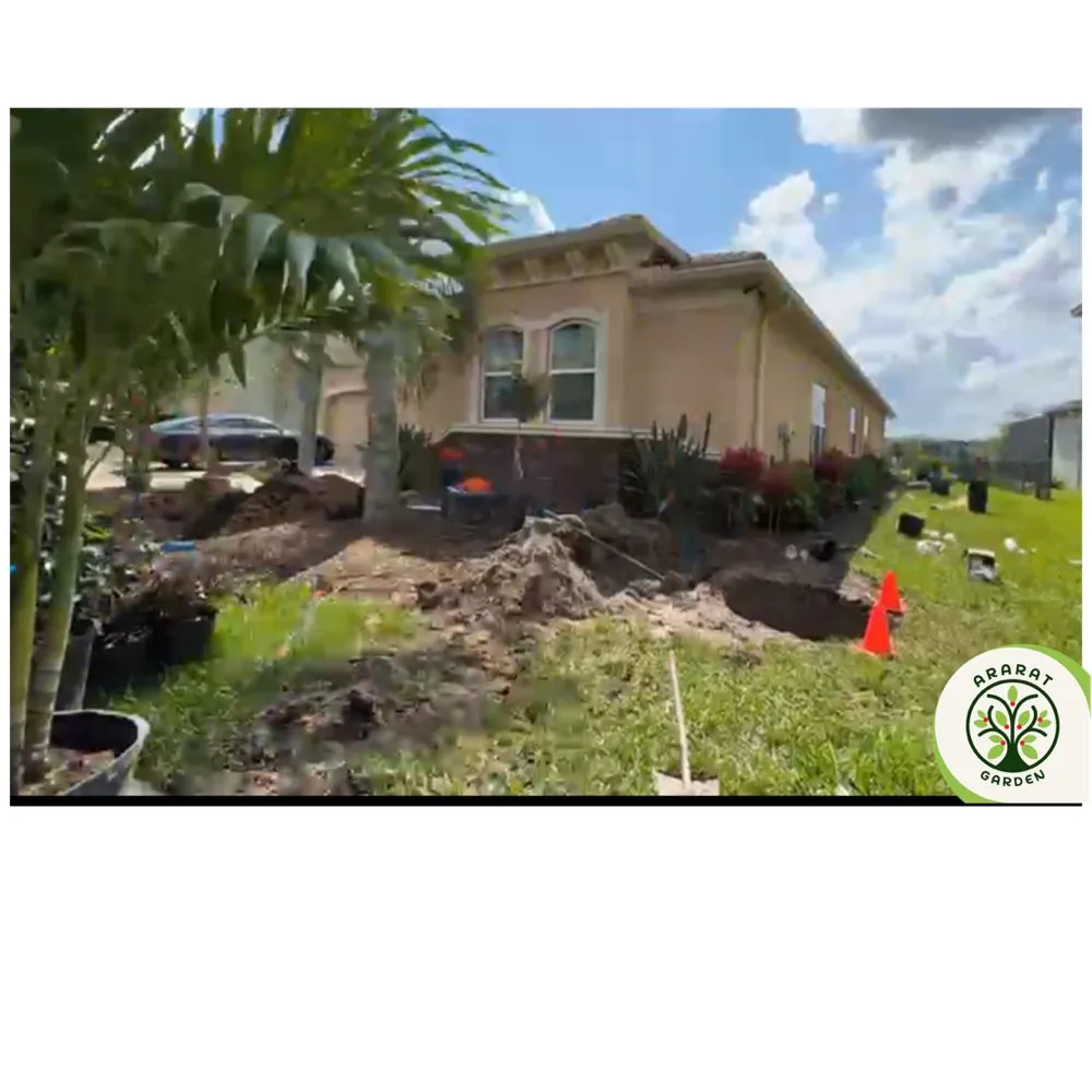 Reliable landscape design in Tampa, FL - Ararat Garden