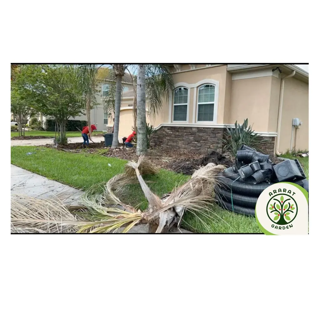 Affordable landscape design in Tampa, FL by Ararat Garden