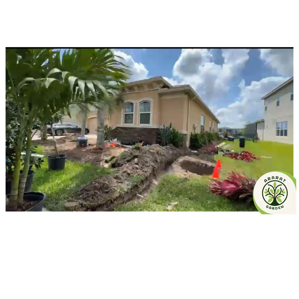 Professional outdoor landscaping experts serving Tampa, FL - Ararat Garden