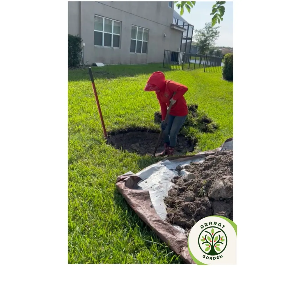 Affordable landscape installation in Tampa, FL - Ararat Garden