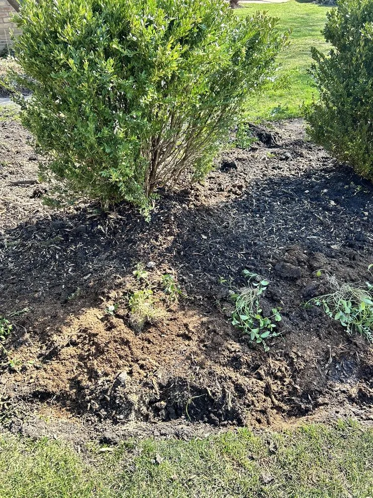 Local residential landscaping in Waukegan, IL - Araseli’s Landscaping