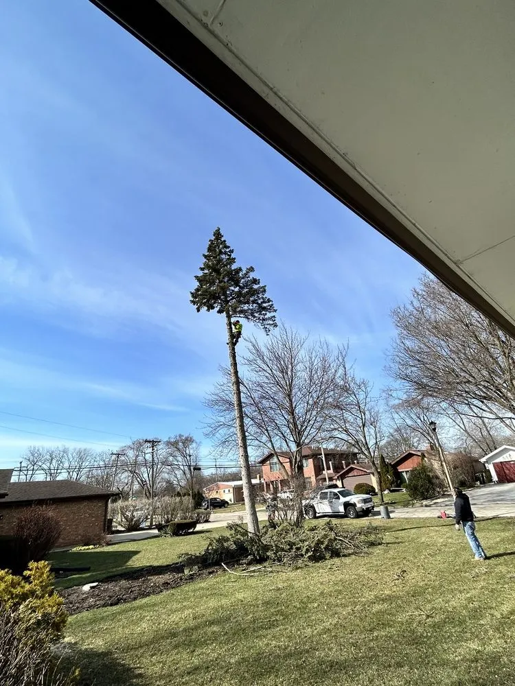 Custom lawn care service experts serving Waukegan, IL - Araseli’s Landscaping