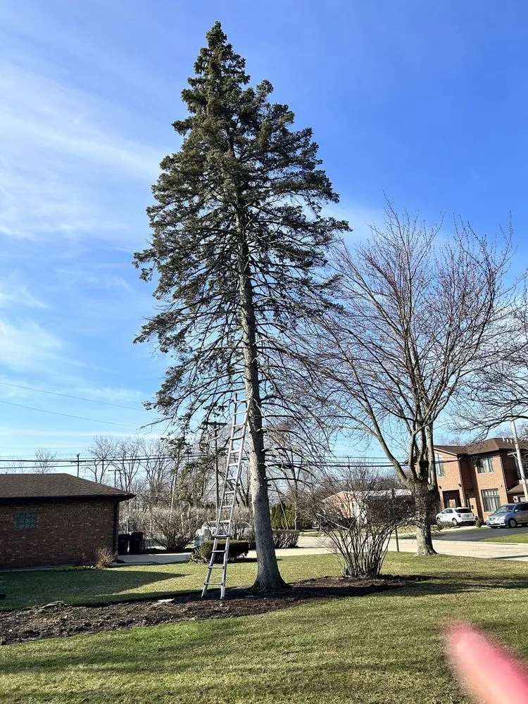 Custom landscape design in Waukegan, IL - Araseli’s Landscaping