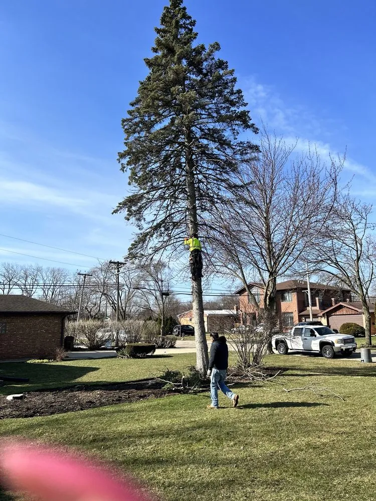 Top-rated residential landscaping for beautiful yards across Waukegan, IL - Araseli’s Landscaping