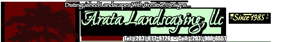 Affordable yard cleanup service in Milford, CT - Arata Landscaping