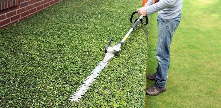 Local garden landscaping in Fall River, MA by Araujo's Irrigation & Landscaping