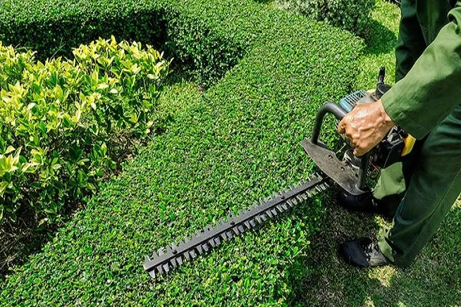 Professional lawn mowing service in Fall River, MA by Araujo's Irrigation & Landscaping